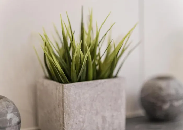 Semesterbostad Haus Bambi Achenkirch